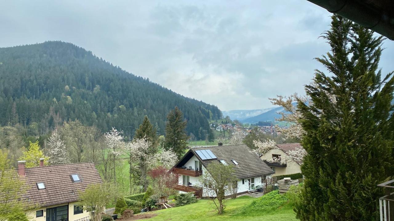 Black Forest Scenic Escape バイアースブロン エクステリア 写真
